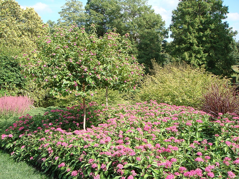 169 Longwood Gardens [2008 August 23].JPG - Longwood Gardens in Pennsylvania